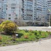 Університет. Факультет