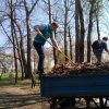Участь у традиційній весняній толоці до Дня довкілля