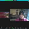Гаранти бакалаврських освітніх програм кафедри міжнародних відносин: Вивчаємо досвід закордонних університетів