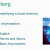 Вебінар-практикум «Міжкультурні комунікації у міжнародних компаніях»