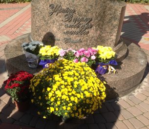 image-08-10-16-04-03-8 305x264